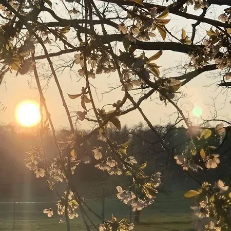 Hippievilla Im Grunen * Köngen